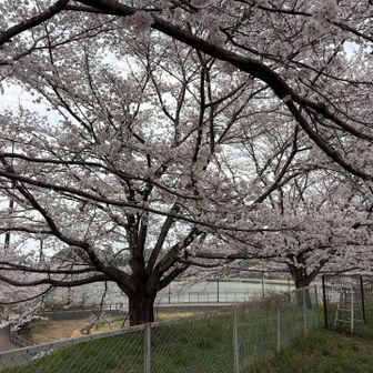 なんとか降りて公園にたどり着きました。
