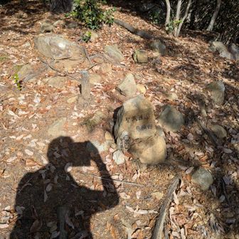 尾根直登から開けたところが聖武連山の見晴台。