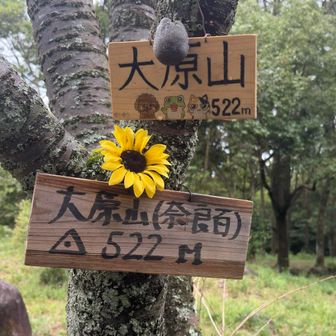 ２つ目