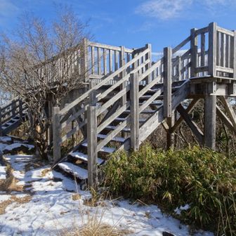 いい感じの展望台ありです！
早速登る〜