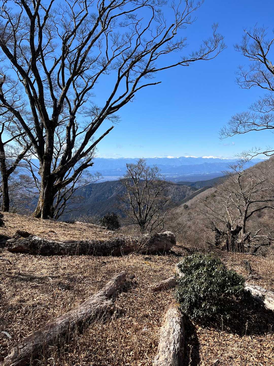 愛鷹山登山口-愛鷹山-馬場平-袴腰岳-一服峠 周回コースの写真