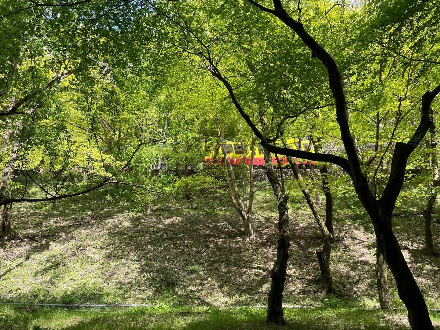 稲荷山コース入口-稲荷山-一丁平園地 往復コースの写真