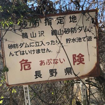 そしゅん