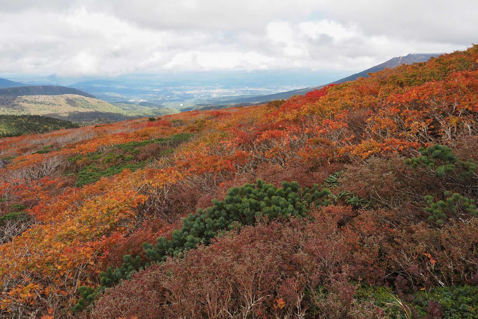 松川登山口-三ツ石山 往復コースの写真