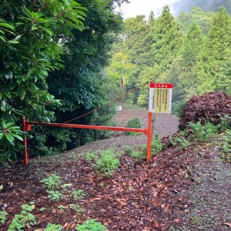 記念碑横のゲート（作業者以外立入を禁止するとありますが）からスタート