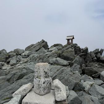 山頂は貸切です。