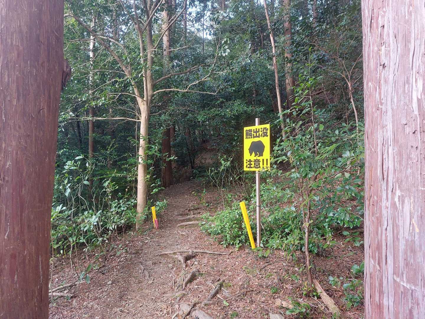 そろそろ注意が必要です🐻