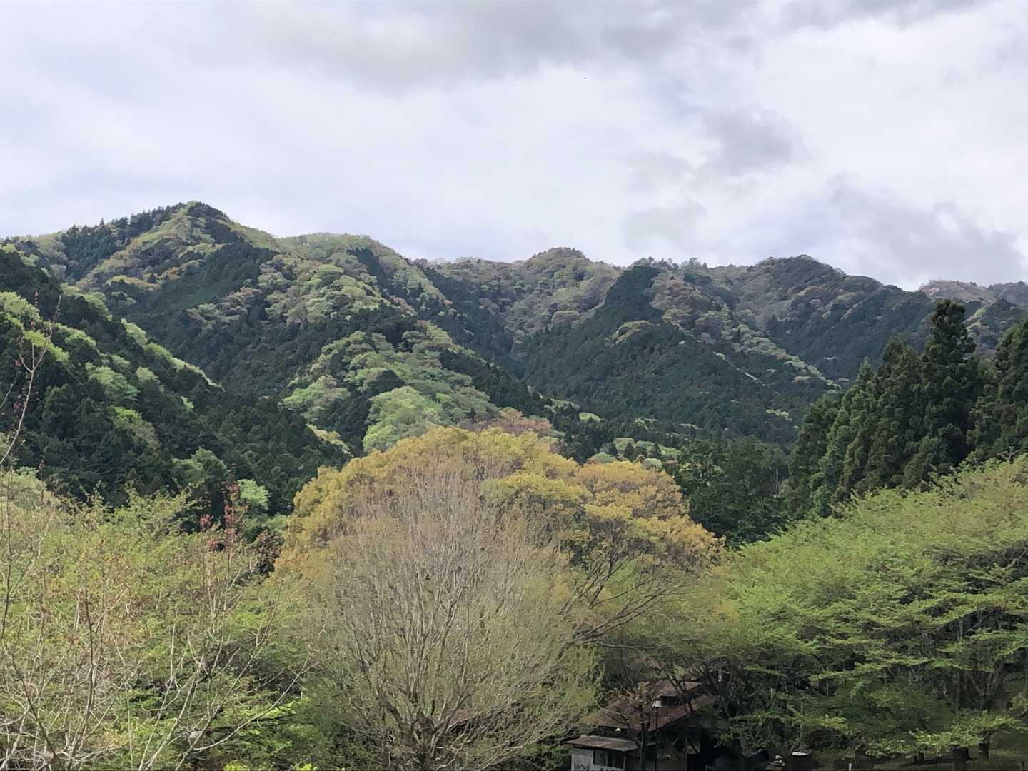 観音岳 周回コースの写真