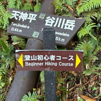 登山初心者コース？決して楽ではありませんでした😅