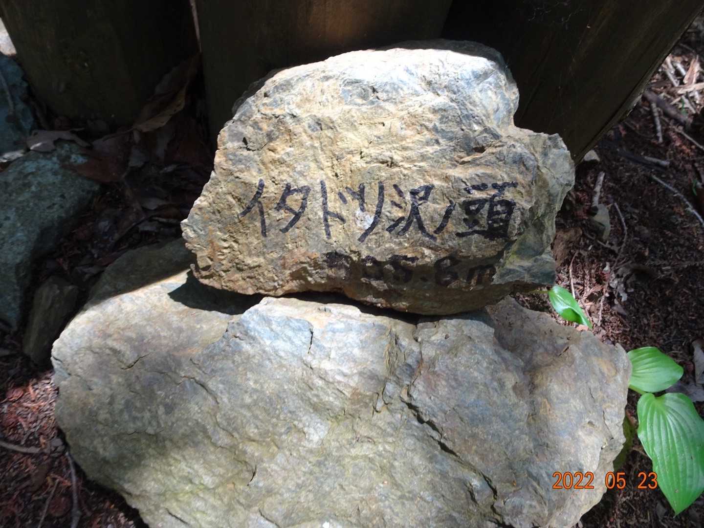 505mです