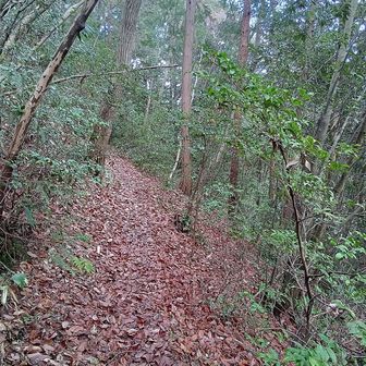 下山はキャンプ場経由で