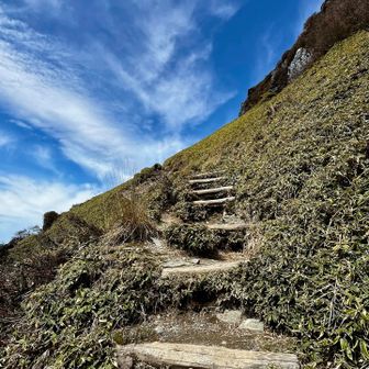 木段を登るだけなのに三点支持ってどういうこと？😇