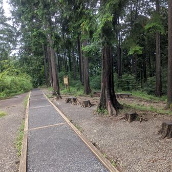 奥高尾は初めて。高規格道路か！