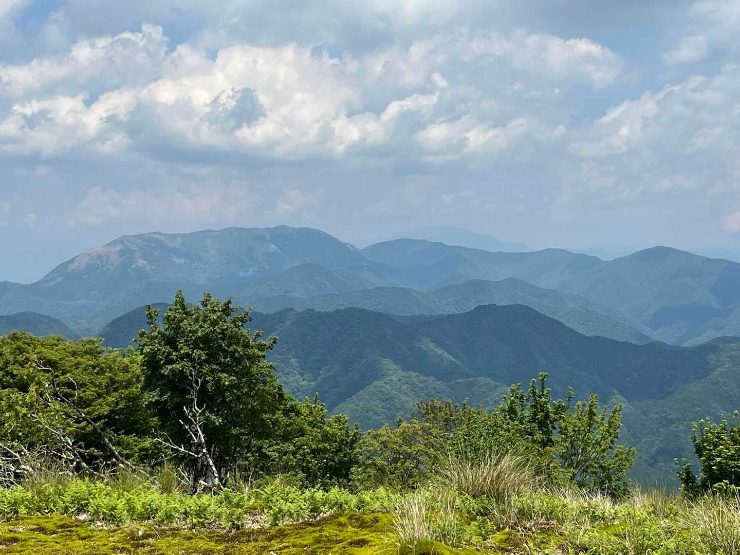 鞍掛トンネル西登山口-鞍掛峠-鈴北岳-鈴ヶ岳-桜峠-茶野 往復コースの写真