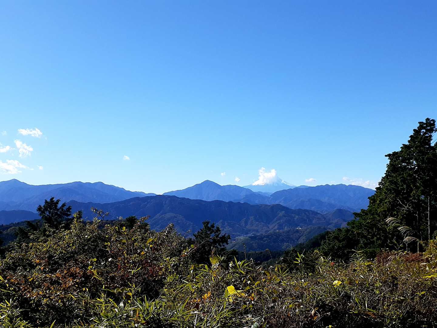 稲荷山コース入口-稲荷山-一丁平園地 往復コースの写真