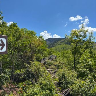 四阿山の頂上はあれかな？