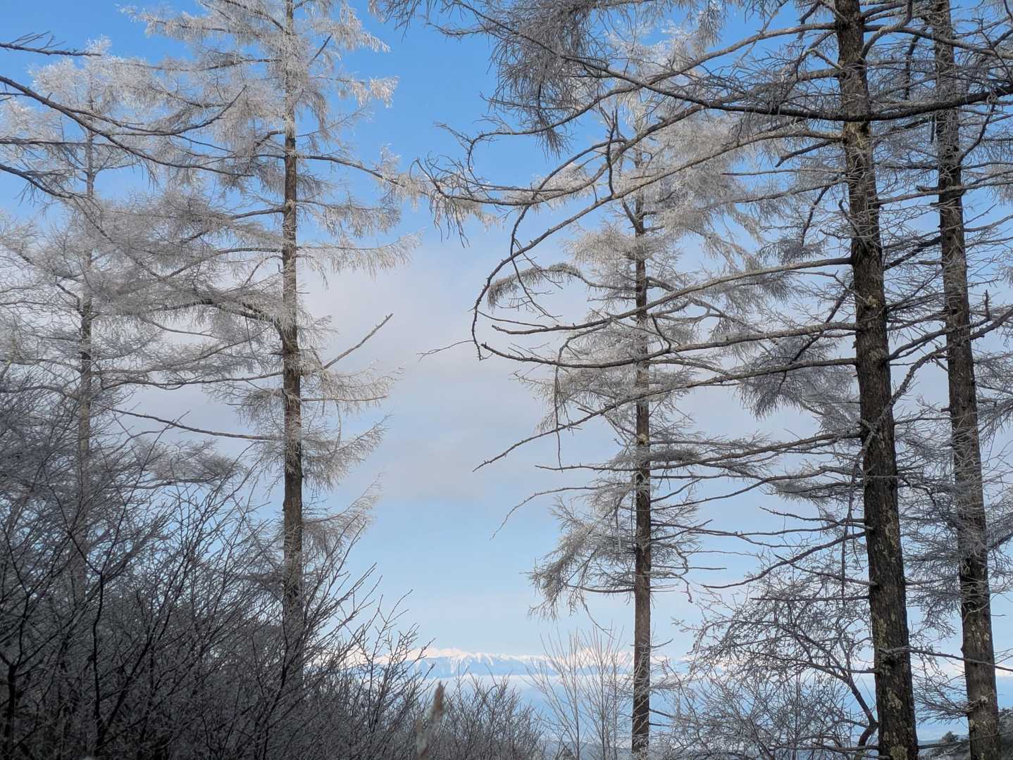 途中見えた雪山🏔️