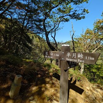 阿世潟峠の分岐まできました。ここで出会った男性に社山までの稜線と社山からの景色は見たほうが良いと言われたので社山まで足を伸ばしてみることにしました👣