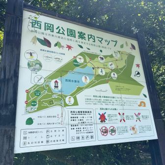 ここからスタート▶️