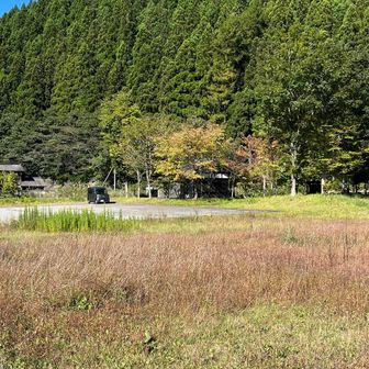 ゴール！！駐車場まで戻ってきました
山行中、誰にも会いませんでした。
