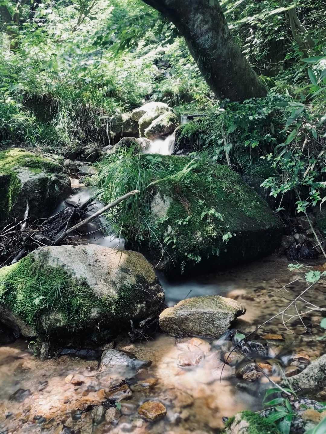 川の水が冷たくてきもちよかったー。首手拭いを濡らして気化熱（×加😝）で冷やす！