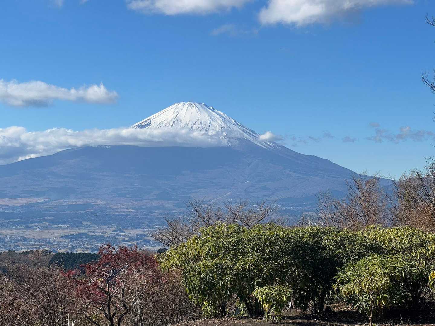 矢倉沢登山口-矢倉岳-山伏平-万葉公園バス停-足柄峠-地蔵 縦走コースの写真