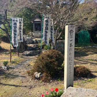 西国一番那智観世音菩薩分社があり。
チューリップが綺麗に咲いてます。
癒しの空間です。