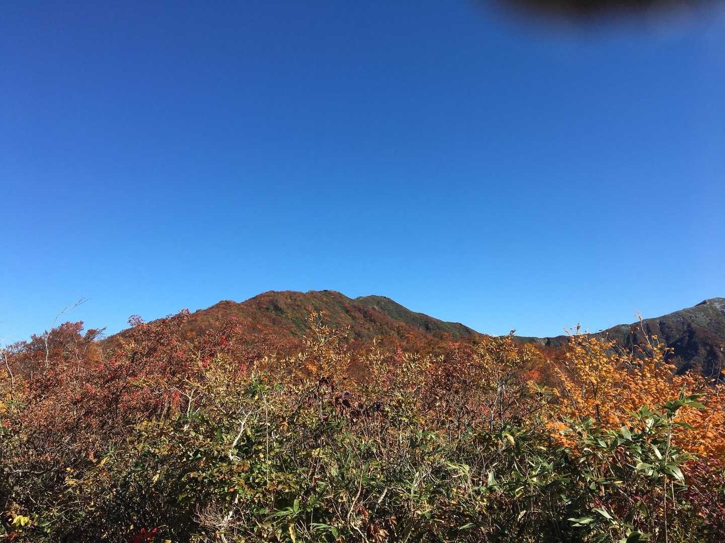 伊折山-成谷山 -僧ヶ岳 往復コースの写真