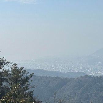 駅伝見えるかな？