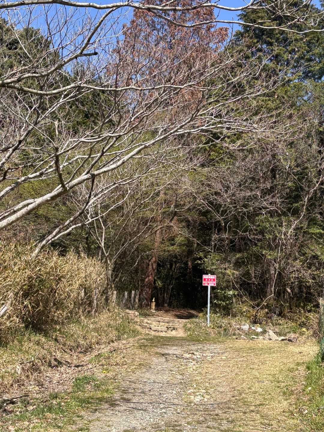 いつものここから