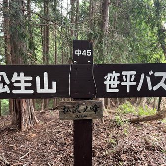 二つ目