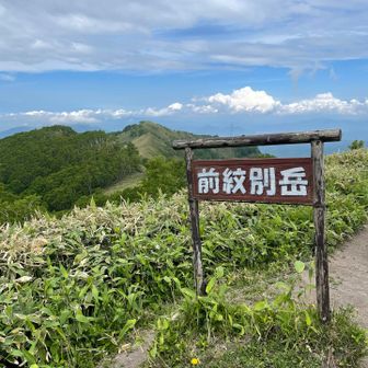 前紋別岳山頂🙌