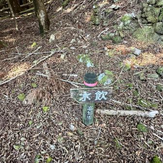 水が出てる気配は全くない💧