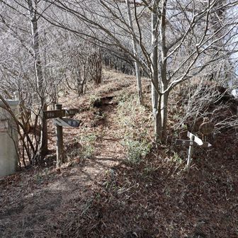 大権首峠から左へ