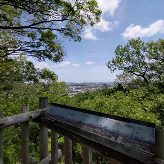 スカイツリーも見えました