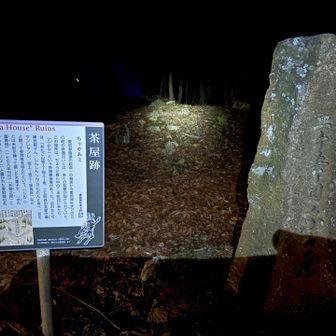 冬も来たなぁ〜と思い出しつつ
夏の愛宕山、暑すぎる(^◇^;)
暑すぎると蚊はいてないみたいでそこは助かった