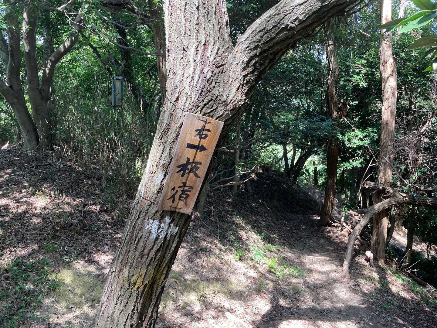 板宿に降る