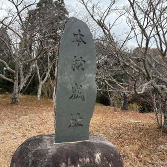 なんか城跡らしい