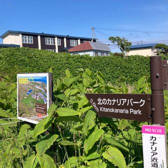 映画北のカナリアたち(およそ20年前制作)の舞台になった学校