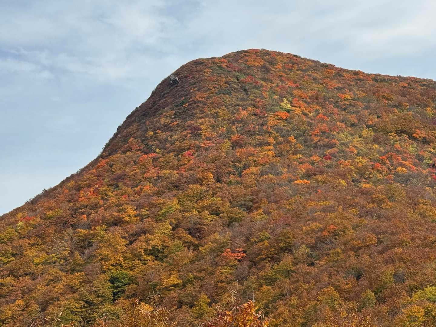 また一気に近づく錦の斜面、だが美しい🍁
