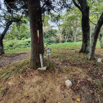 山頂だ