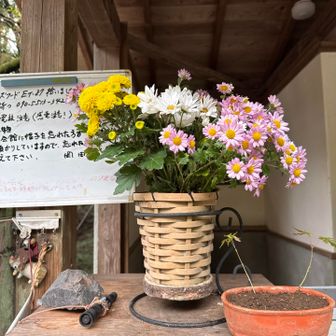 今日のトイレのお花
今日も楽しかった♪