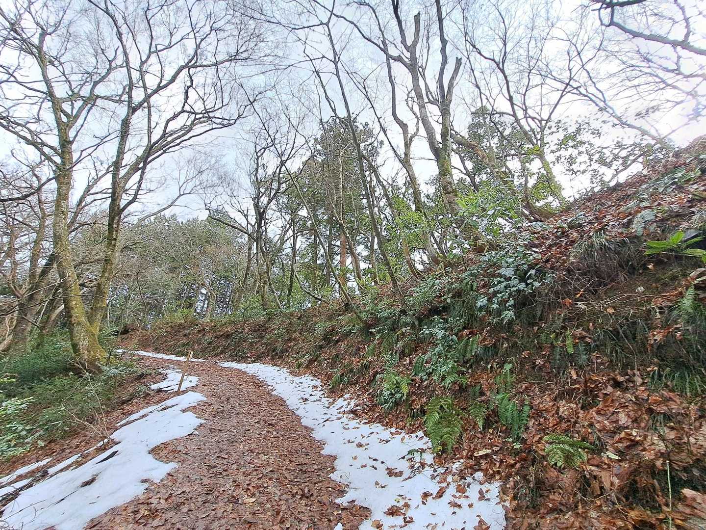 稜線が見えたところには残雪が。
雨雲が近付いてきて、林道では感じなかった冷たい北風とご対面( ＞Д＜；)