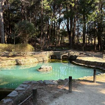 想像より小さかった