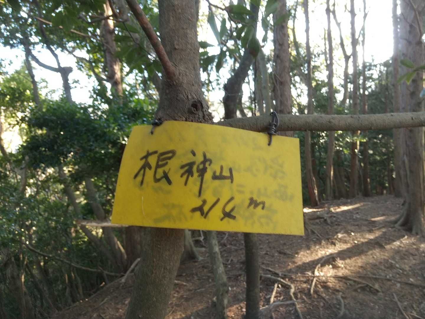 数週間ぶりかな？