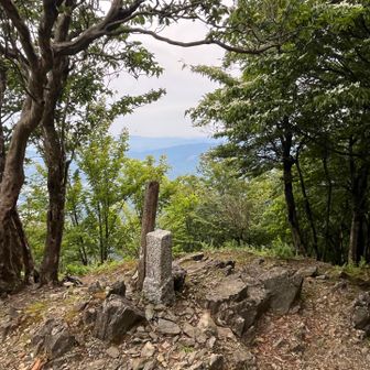 まだ8時前です。登山口から90〜100分くらいで到着しました。