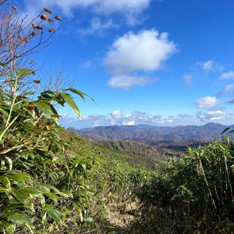 笹刈りされてて歩きやすい
整備された方に感謝🙏
疲れて振り返ると定天や手稲山、札幌岳や空沼岳もくっきり
