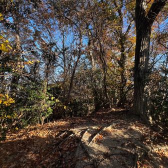 27　北茨尾山　247.2m
No.30