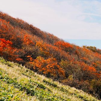 山肌の紅葉