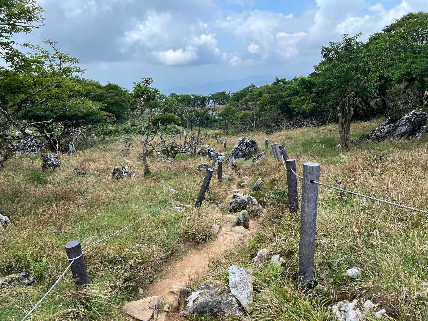 道にも石灰岩がゴロゴロと